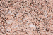 Kamienie Jaspis Pink Zebra 9027kp 2mm 1sznur